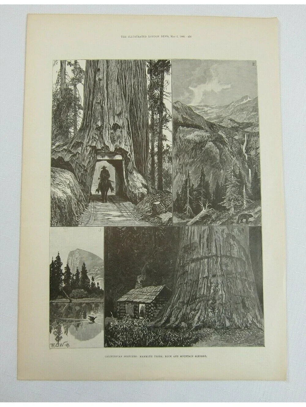 Antique 1888 Print Californian Sketches Mammoth Trees Rocks and Mountain Scenery